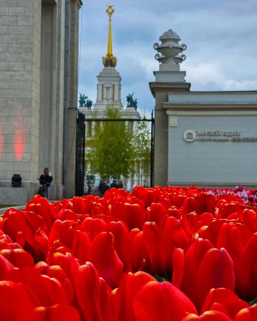 Тюльпаны на ВДНХ 🌷

Фото:..
