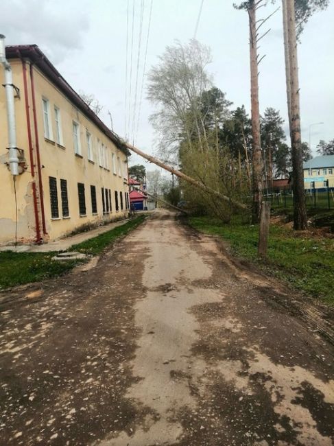 В Кунгуре ветер роняет заборы, кровли и деревья. В Краснокамске упала остановка, и пострадал ребенок. 

Зaвтpa в..