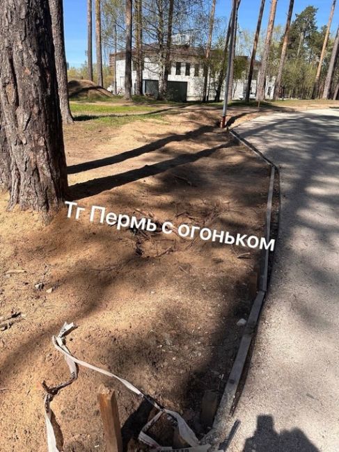 Нам пишут: «Еще осенью в Чернявском лесу за ДКЖ решили облагородить дорожки и вход. Вот в каком состоянии это..