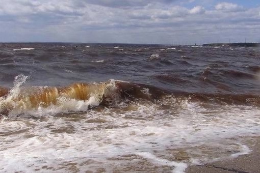 💙Из-за сильного ветра «Горьковское море» вчера превратилось в настоящее Черное. 

Смотрите, какие огромные..