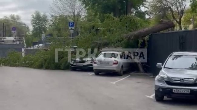 В Самаре УК и районная администрация не могут поделить дерево, раздавившее два автомобиля 

Одна из..