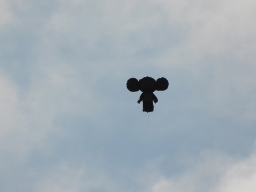 В небе над Ленобластью заметили необычный летающий объект: Чебурашка активно изучал акваторию Ладожского..