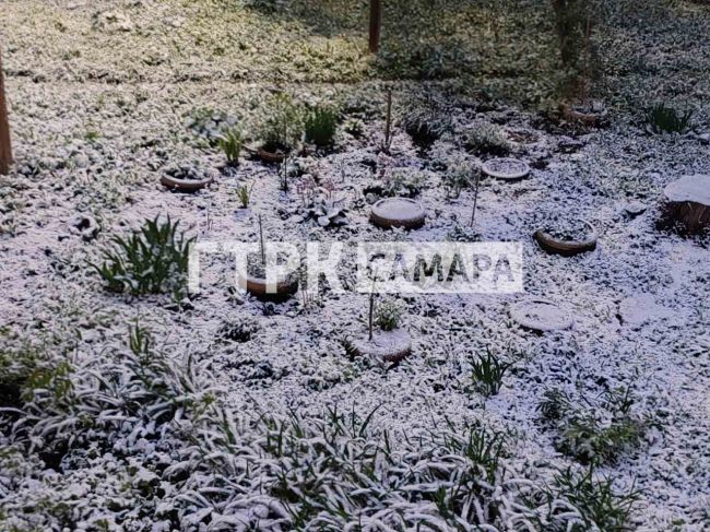 "Люблю метель в начале мая": погодная аномалия укрыла Самару сугробами 

Фоторепортаж tvsamara .ru

В Самару..