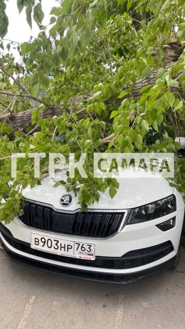 В Самаре УК и районная администрация не могут поделить дерево, раздавившее два автомобиля 

Одна из..