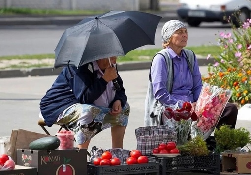 Ростовчанам грозит штраф до 2000 рублей за торговлю домашними овощами

Для торговли нужно иметь специальную..