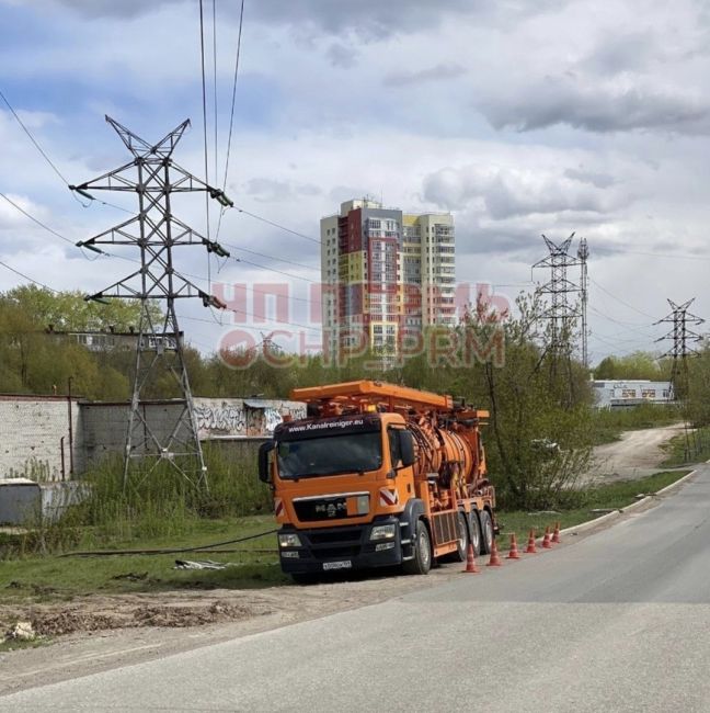 Живу в м/р Владимирский. У нас тут бежит речка, по весне на речке живут утки. Днем гуляла с ребенком и увидела..