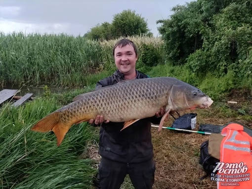 🐟 Рыбак поймал сазана весом почти 13 килограммов

Мощный улов 34-летнему Ивану Панфилову посчастливилось..