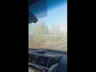 Трассу «Новосибирск-Чулым» окутало густым дымом 

Судя по кадрам, там горит лес и сухая трава. Напоминаем, что..