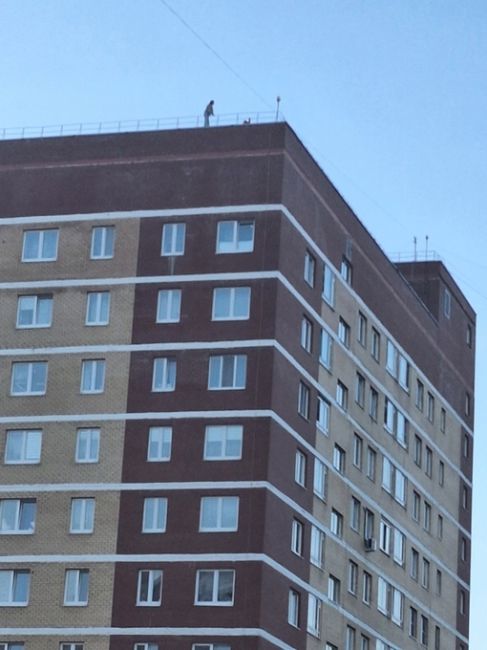На Цимлянской, 19б на крыше многоэтажки заметили несовершеннолетних

Жители просят напомнить о безопасности,..