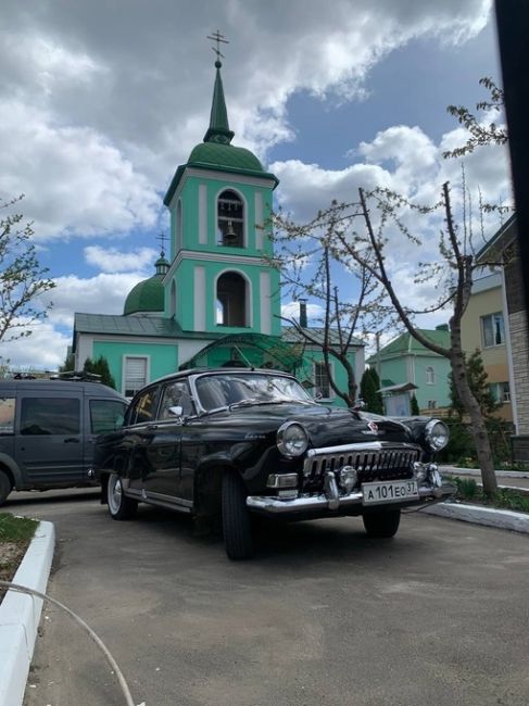 Вот такую красотку заметили в центре Рамони

 📷Борис..