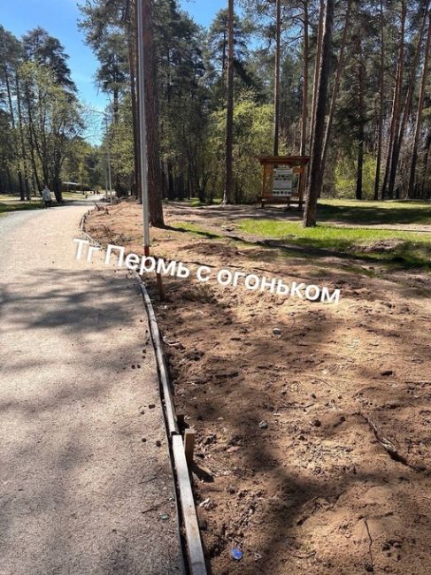 Нам пишут: «Еще осенью в Чернявском лесу за ДКЖ решили облагородить дорожки и вход. Вот в каком состоянии это..