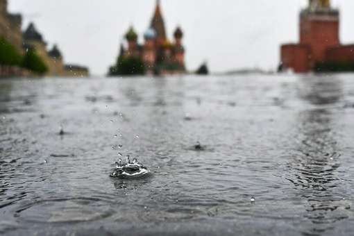 Лето обещает быть "веселым".

Синоптики предупреждают, что летом в Москву и область придет "погодное безумие":..