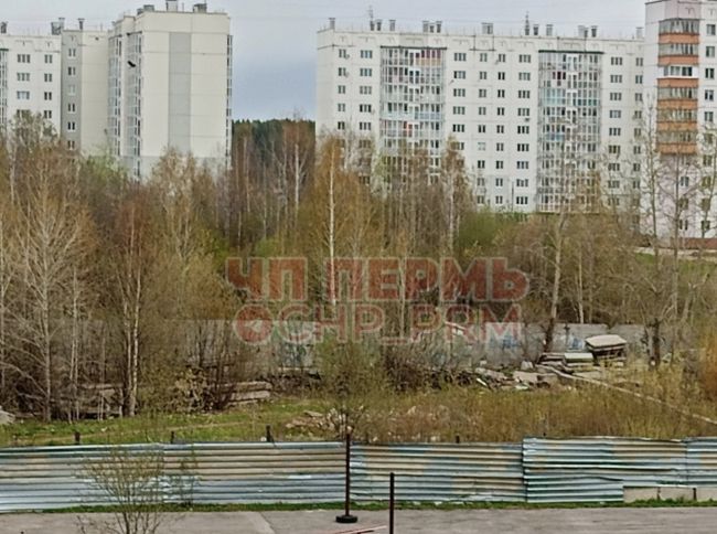 Как надоела помойка в самом центре новых домов в Левшино!!! Уже везде обращались, не..