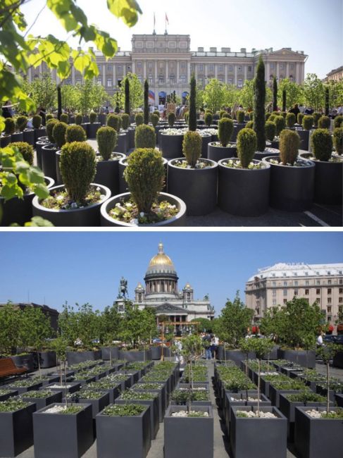 У Мариинского дворца снова поставили сад

В День города на Синем мосту открыли сад из деревьев и кустарников..