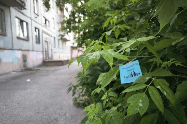 В Заельцовском районе Новосибирска обклеили рекламой деревья и цветы

В Заельцовском районе Новосибирска..