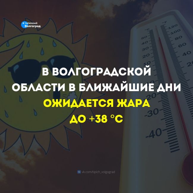 «Ура, дождались!»: На этой неделе волгоградцам обещают жару до +38 °C 🌡🥵

😎🫶 В Волгоградской области..