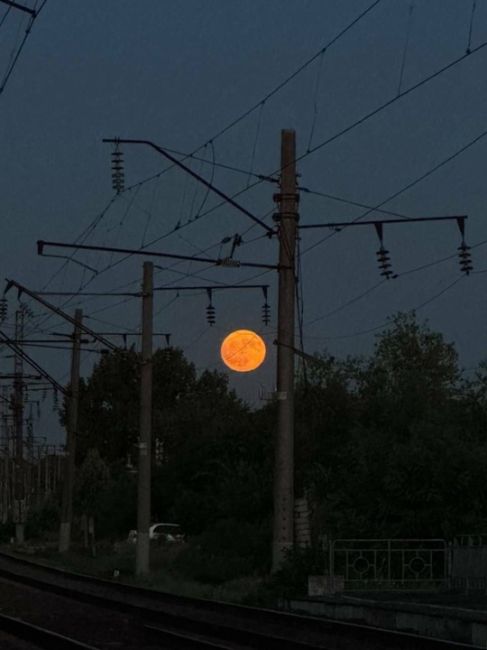 Этой ночью было очень красивое полнолуние 🌕 

Автор, найдись..