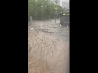 Некоторые улицы на юго-западе Москвы сильно затопило.

Людям приходится идти по колено в..