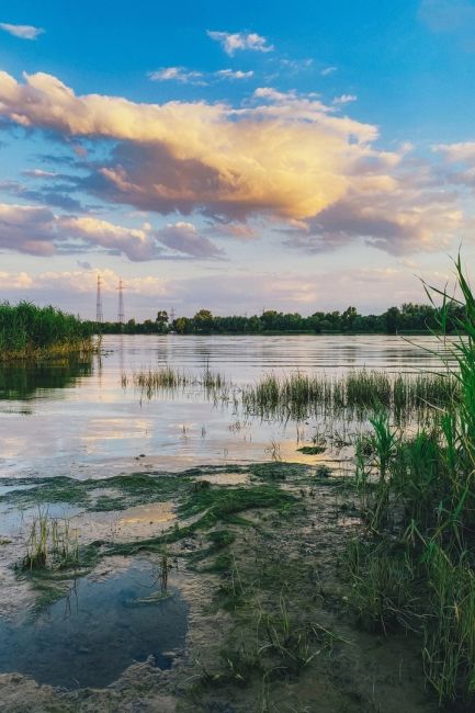 Прекрасный июньский вечер на берегу Дона..