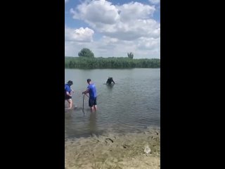 Под Ростовом на реке Аксай утонул рыбак.

 По словам очевидцев, мужчина рыбачил на берегу и распивал..