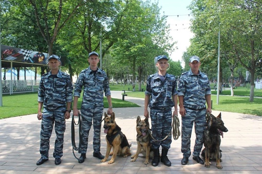 Без вести пропавшего дедушку нашли живым в лесу полицейские

Жительница Курганинского района сообщила о..