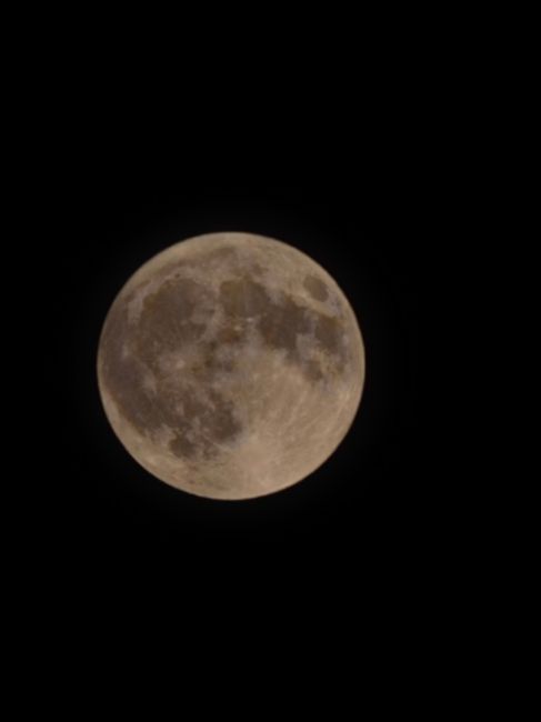 Этой ночью было очень красивое полнолуние 🌕 

Автор, найдись..