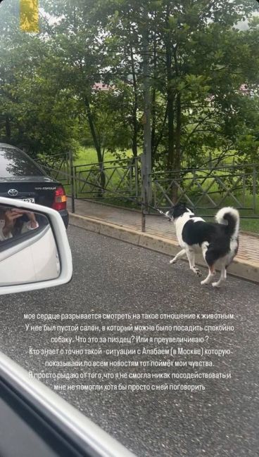 В Сочи водитель привязала собаку к машине и тащила за собой по дороге.

В Сочи женщина ехала на высокой..