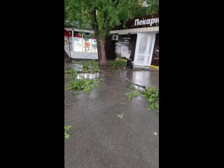 В Перми, в особенности центре и Закамске прошел ураган. Ветер повалил деревья, ветки..