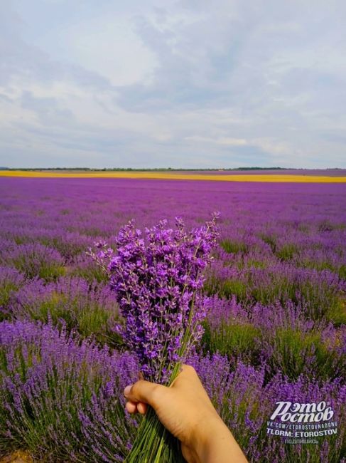 Ароматный донской букет..