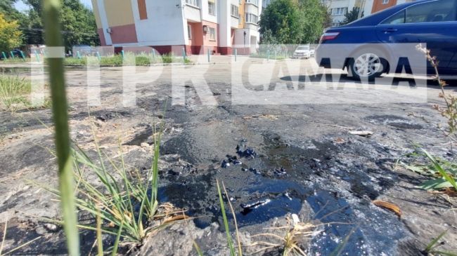 В Самаре возведение бассейна стало долгостроем 

Фоторепортаж ГТРК «Самара»
 
Торчащие железные конструкции..