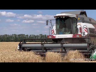 🌾 Больше 2 миллионов тонн зерновых намолотили за первую неделю уборки аграрии Кубани.

Средняя урожайность..