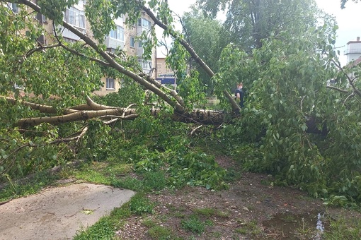В Яйве и Соликамске вчера прошел ураган. Зафиксирован ветер 25 м/с..