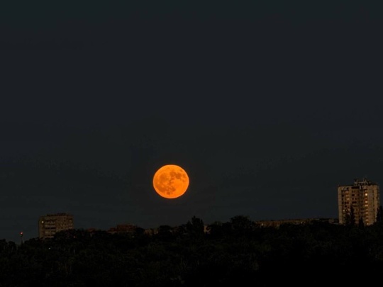 Этой ночью было очень красивое полнолуние 🌕 

Автор, найдись..