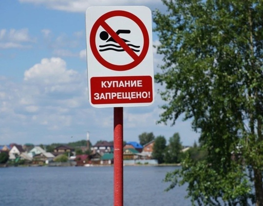 Мужчина утонул на острове Татышев в Красноярске

Трагедия произошла вчера на искусственном водоеме. Сегодня..