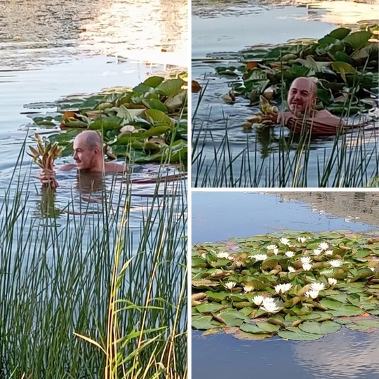Пьяный романтик устроил заплыв за цветами в саду «Прометей» в Калининском районе. Мужчина посрывал цветущие..