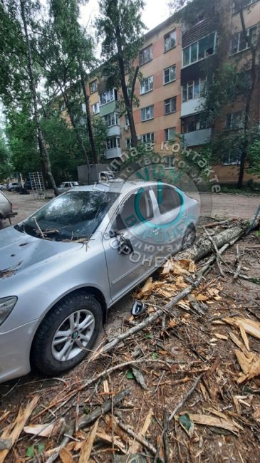 Ростовская 46/5 упало дерево на машину. УК Левобережного района, посмотрите пожалуйста сколько заявок у вас на..