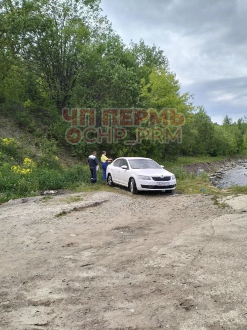 Всем доброго. Приехал на рыбалку:красота,тишина,с реки веет прохладный воздух, термос с кофе... И тут..