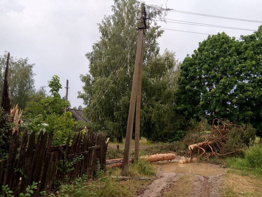 🗣️ Ураганный ветер уже прошелся по поселку Сатис Первомайского района

Там повалены деревья, оборваны..