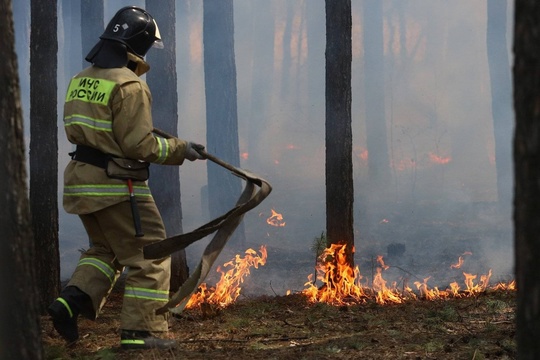 Омские пожарные за два месяца 403 раза выезжали на ложные вызовы

В МЧС России по Омской области рассказали,..