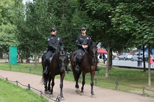 Власти Ростовской области закупят для полиции пять лошадей за 6 млн рублей.

Животные нужны для оснащения..