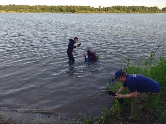От подписчиков 

Вчера, 6 июля, в Заосиново на карьере утонул пожилой мужчина. Тело нашли и достали через 2 часа..