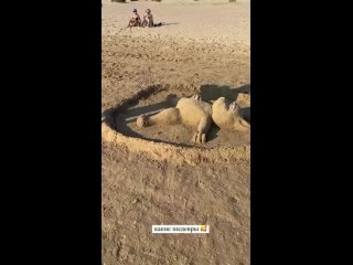 🏖️ На пляже в Анапе отдыхающие создают песчаные шедевры!

Морской воздух вдохновляет👍

Видео: ..