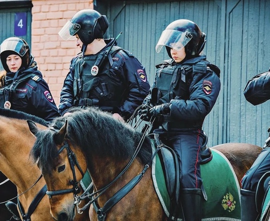 В Ростове появится конная полиция🐎

Для ростовской полиции закупят пять лошадей: четверых меринов и одну..