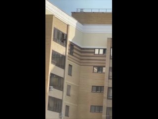 Появилось видео, как челнинец запугивает кота вытащив, его из окна многоэтажки. При этом он кричит на питомца..