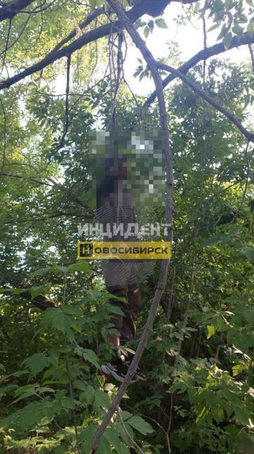 На территории бывшего Сибсельмаша в Новосибирске нашли труп мужчины 

СК России по Новосибирской области..
