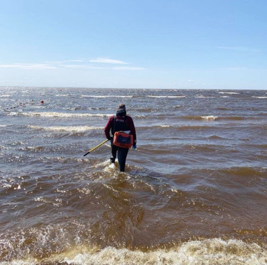 В Петербурге не осталось пригодных для купания водоёмов, сообщает Роспотребнадзор, ведущий мониторинг 24..