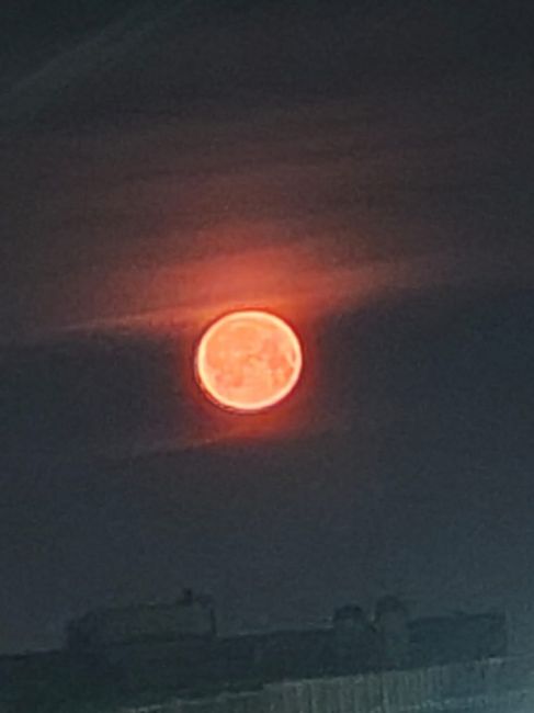Еще немного кадров шикарной луны в небе над Петербургом..