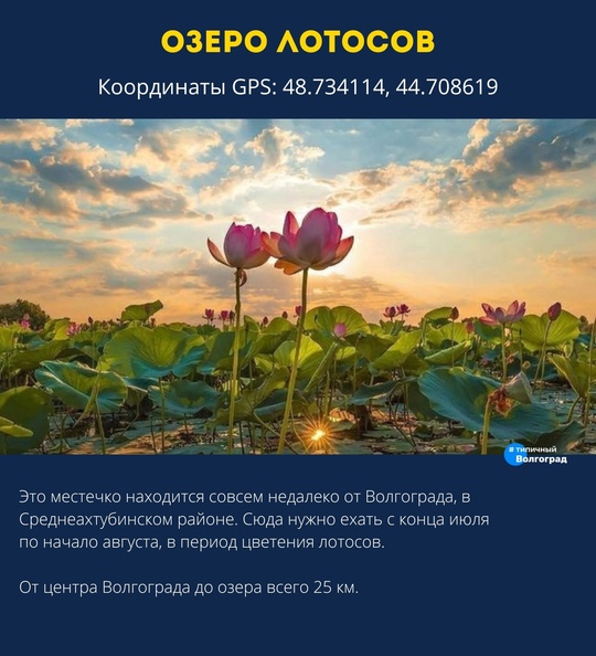 К сожалению, не у всех есть возможность отправиться на море на недельку, но лето никого не ждёт и проходит..