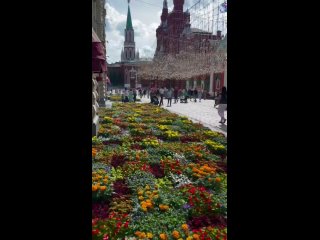 Цветочные ковры у ГУМа 

Видео:..