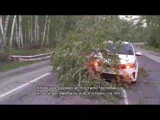 Упавшее дерево испортило Челябинцу новый автомобиль и все планы на лето. Подробности в видео. Взыскание..